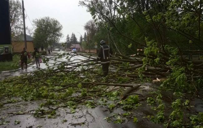 Під час буревію у Львіській області загинула жінка