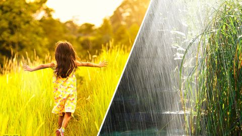 Аномальна жара і сильні дощі: друга половина літа буде з сильними перепадами