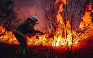 На Одещині пожежа після атаки дрона: горять землі лісництва та острів Очаківський