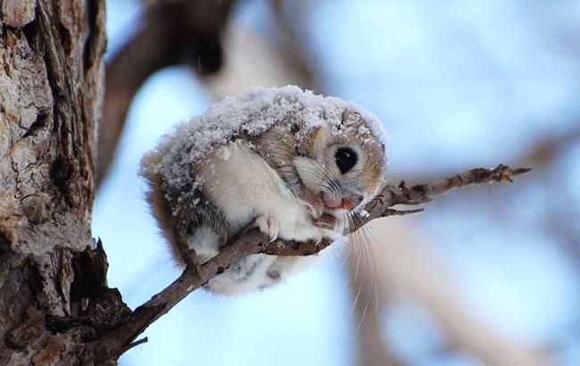 "Весна вже близько": синоптик дала прогноз погоди на початок тижня