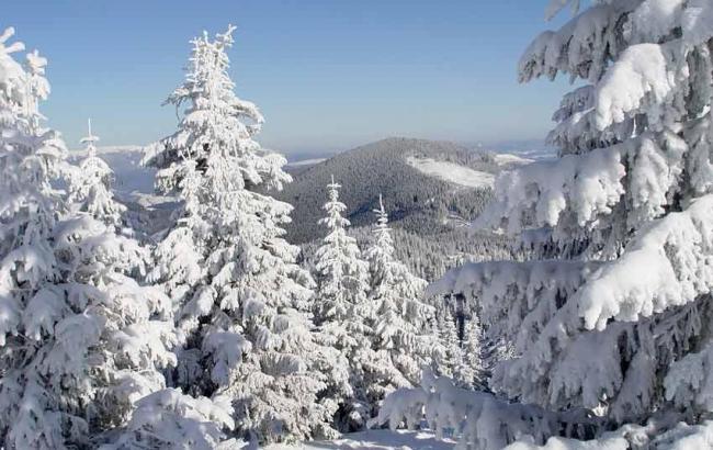 ДСНС попереджає про лавинну небезпеку у Івано-Франківській та Закарпатській областях