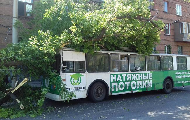 В Запорожье на троллейбус с пассажирами упало дерево, есть пострадавшие
