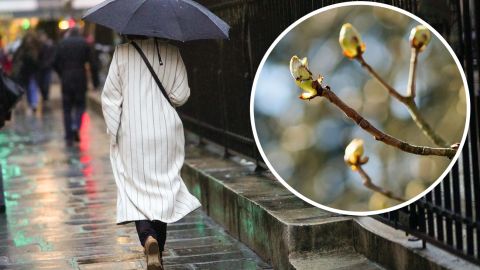 На тепло и солнце не рассчитывайте: синоптики огорчили прогнозом на начало мая