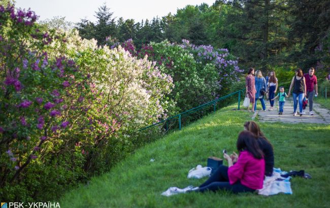 В Украине сохранится жара, запад накроют грозы
