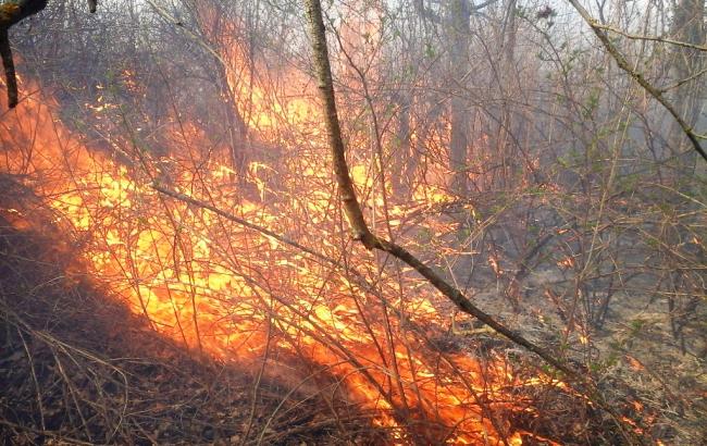 ГСЧС предупреждает о риске увеличения числа пожаров