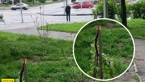 В Днепре пьяный подросток разгромил новую аллею в центре города