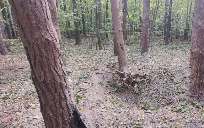 У Чернівецькій області чоловік підірвався на старому снаряді в лісі