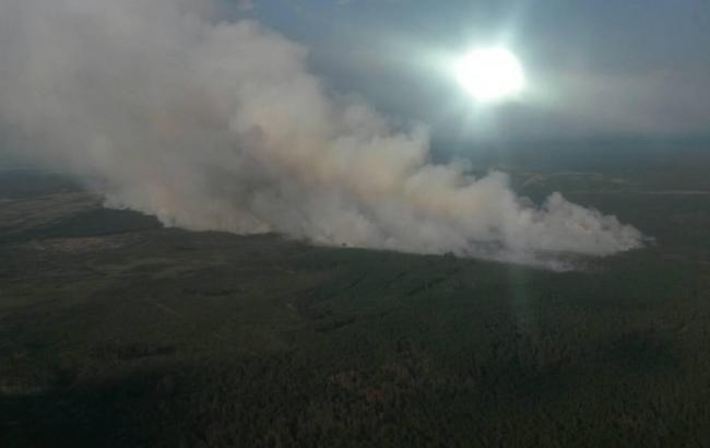 Пожар в заповеднике в Житомирской области локализован, - ГСЧС