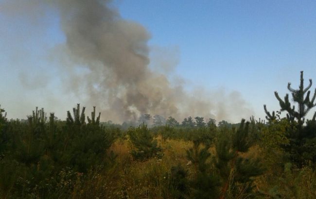 ГСЧС предупреждает о чрезвычайной пожарной опасности в Украине 14-15 августа