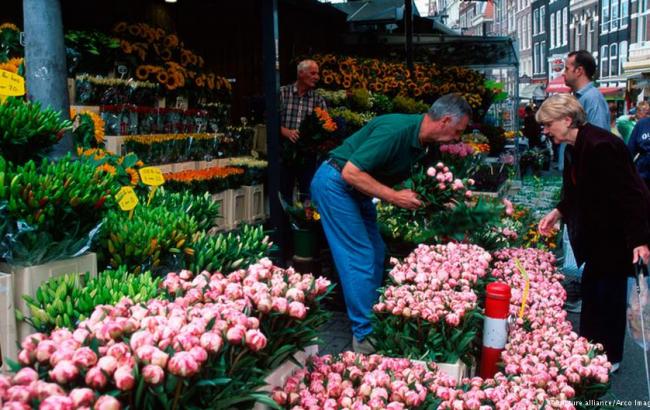 У Росії посилили правила імпорту голландських квітів