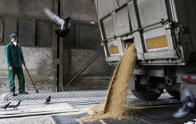У Польщі заявили, що не змінять рішення щодо українського зерна