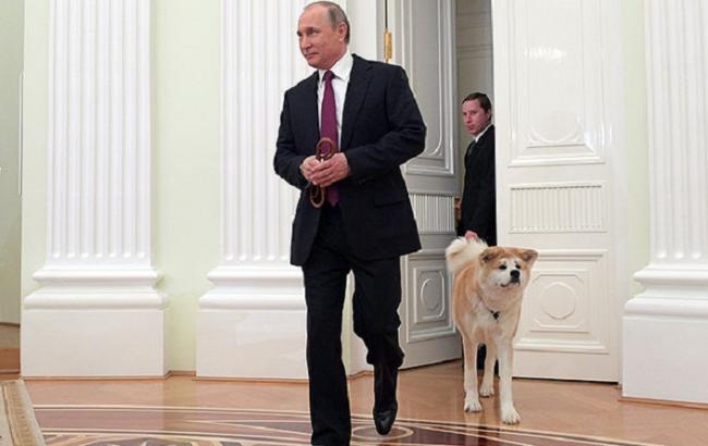 Соцсети высмеяли дружбу Путина и японской собаки