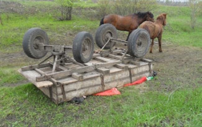 У Житомирській області перекинувся гужовий віз: 3 загиблих, 1 поранений