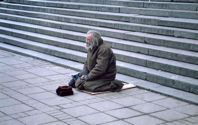 В России бомжей предлагают держать в вольерах