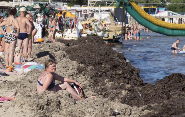 У мережі показали купи гною на пляжі в Євпаторії
