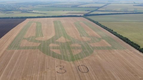 Под Винницей&nbsp;фермеры высеяли на поле самый большой герб Украины: видео рекорда