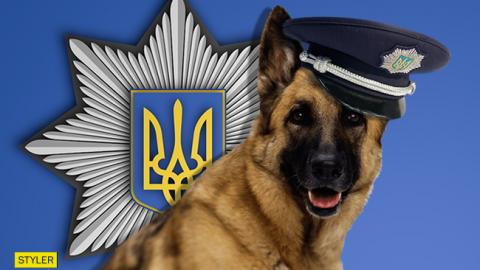 В Украине может появиться зоополиция