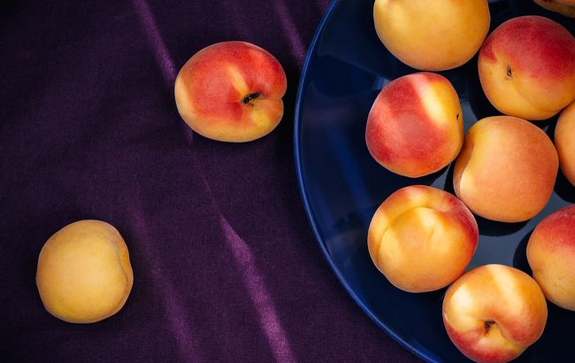 Абрикосы повышают иммунитет и улучшают работу организма: кому их есть категорически нельзя