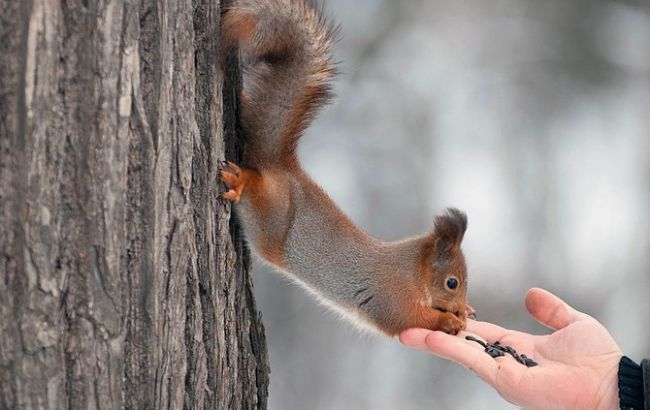 Погода на сьогодні: в Україні без опадів, температура до +11