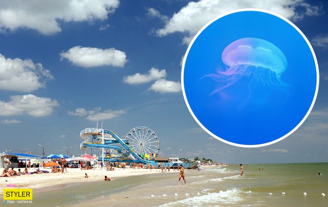 Цены космические, медузы жуткие: туристы шокированы отдыхом в Кирилловке (видео)