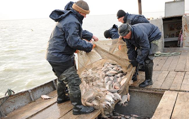 Вилов риби в Україні за 10 місяців виріс на 10,9% - до 55,6 тис. т, - Держстат