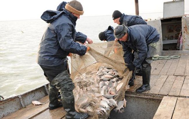 Вылов рыбы в Украине за 3 мес. снизился на 1,4%