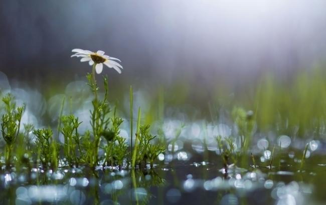 Погода на сьогодні: в Україні дощі з грозами, температура до +29