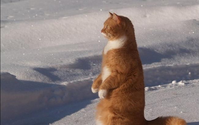 Зима на пороге: синоптики прогнозируют украинцам резкое похолодание и снег