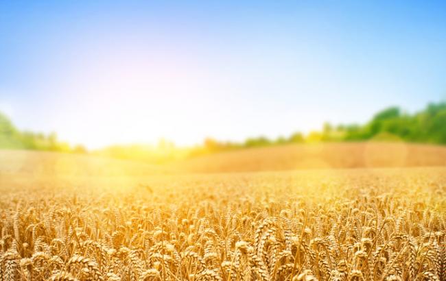 МінАП сьогодні оголосить переможця конкурсу в "Укрспирті" і ще 10 держпідприємств