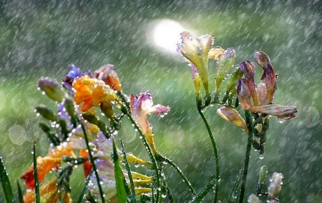 Погода на сьогодні: на південному сході України дощі, температура до +32