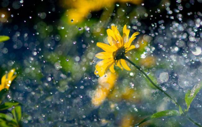 Погода на завтра: в Украине местами дожди, температура до +25