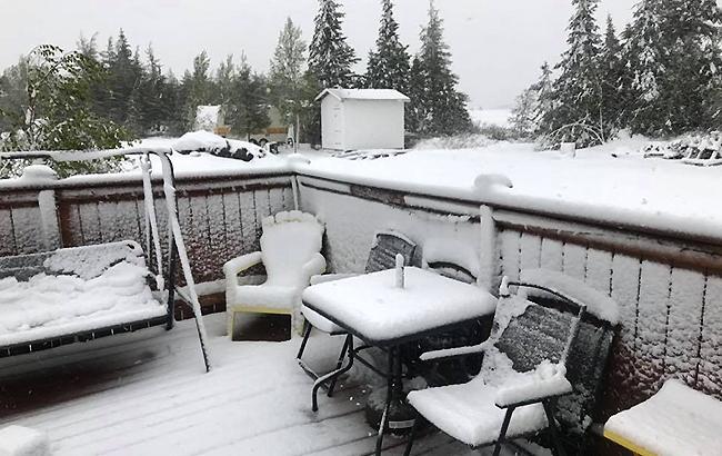 Внезапно: в Канаде выпало 12 сантиметров снега за одну ночь (фото)