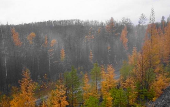 Погода на завтра: на всей территории Украины облачно без осадков, температура до +10