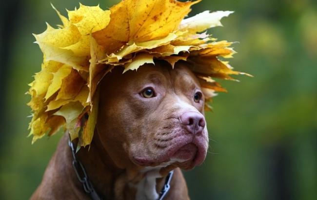 Погода на сьогодні: в Україні без опадів, температура до +29