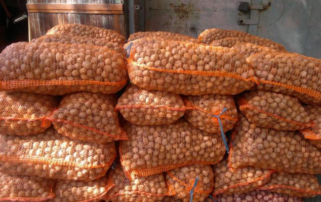 Після наступу Саакашвілі "горіхова мафія" перенесла свою діяльність на одеську митницю, - журналісти