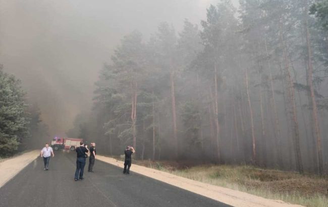 Названа сумма ущерба от пожаров в Луганской области
