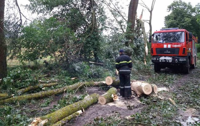 Поваленные деревья и затопленные улицы: под Ровно разбушевалась непогода