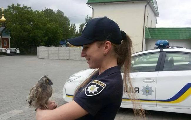 В полиции Ровно появилась сова