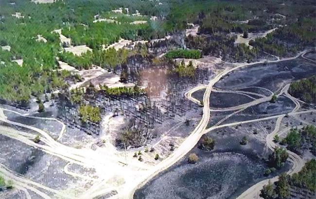 Пожежа в Херсонській області: у ДСНС розповіли про ситуацію поблизу с. Раденськ