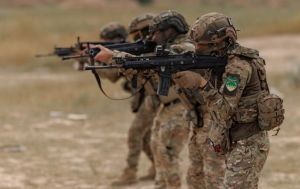 Сили оборони вразили пункти управління БПЛА та склад "Рубікону"