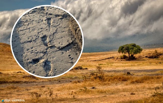 Доисторические следы в Африке. Археологическая загадка 20 века получила новый взгляд ученых
