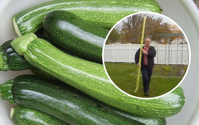 Фермер вырастил самый длинный кабачок в мире и похвастался урожаем (фото)
