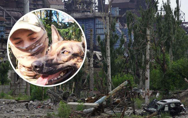 По этой истории можно снимать фильм: защитник "Азовсталь" спас из Мариуполя свою собаку