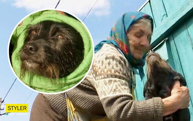 "Плачу, вона мені сльози лиже": історія бабусі Марії зі знаменитого фото з песиком у хустці