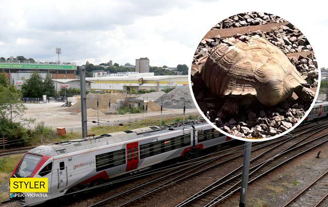 Гигантская черепаха заблокировала движение поездов в Британии (фото)
