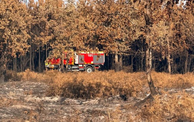 Українські рятувальники прибули до Франції гасити масштабну лісову пожежу
