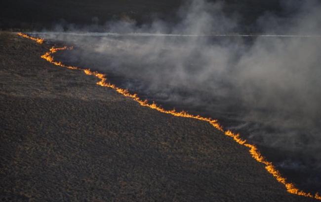 Из-за пожара в Чернобыльской зоне проводят эвакуацию