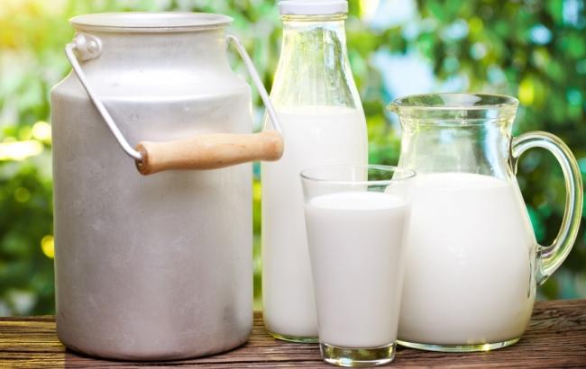 Ученые рассказали, какой продукт полезен для работы мозга