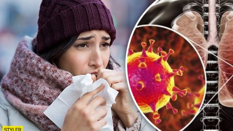 Как быстро коронавирус разрушает легкие: появилось новое видео