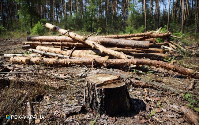 В Україні відкрили державний інтернет-магазин дров для населення